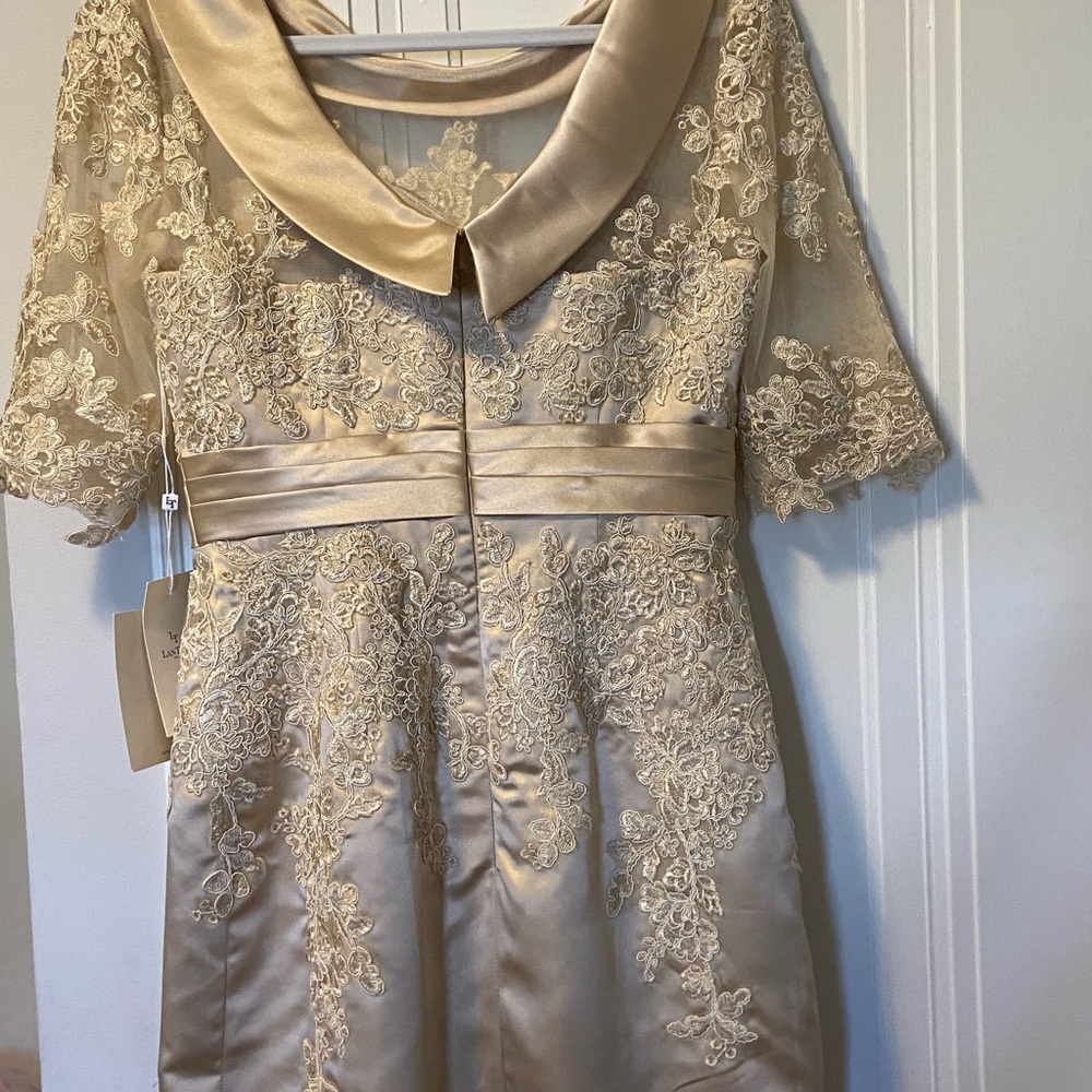 Beautiful Champagne colored Lace and satin dress - Picture 4 of 6